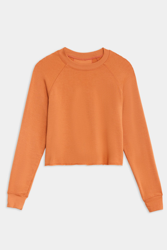 Front flat  view of orange cropped sweatshirt